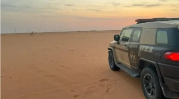 الرعي المخالف يوقع مواطنًا في قبضة الأمن بمحمية الإمام عبدالعزيز الملكية